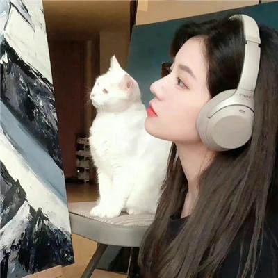 蜂蜜与四叶草